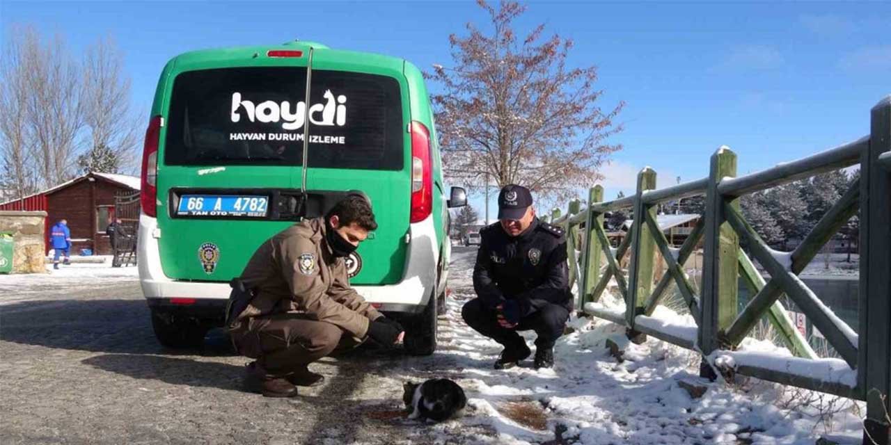 Yozgat’ta polis ekipleri sokak hayvanlarını unutmadı