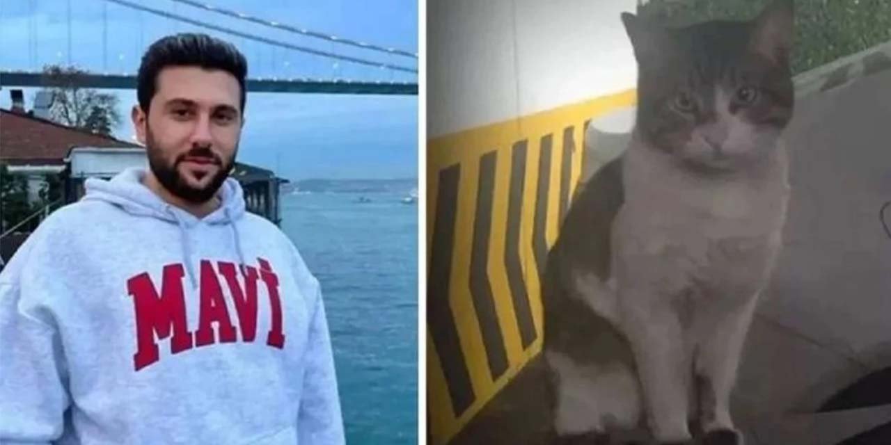 Kedi Eros'u öldürmüştü! Serbest bırakıldı!