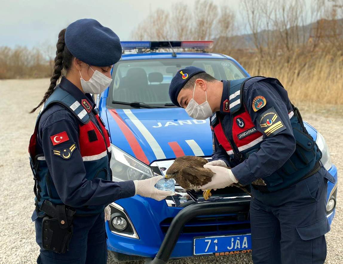 Yaralı Şahin'e Jandarma'dan yardım eli