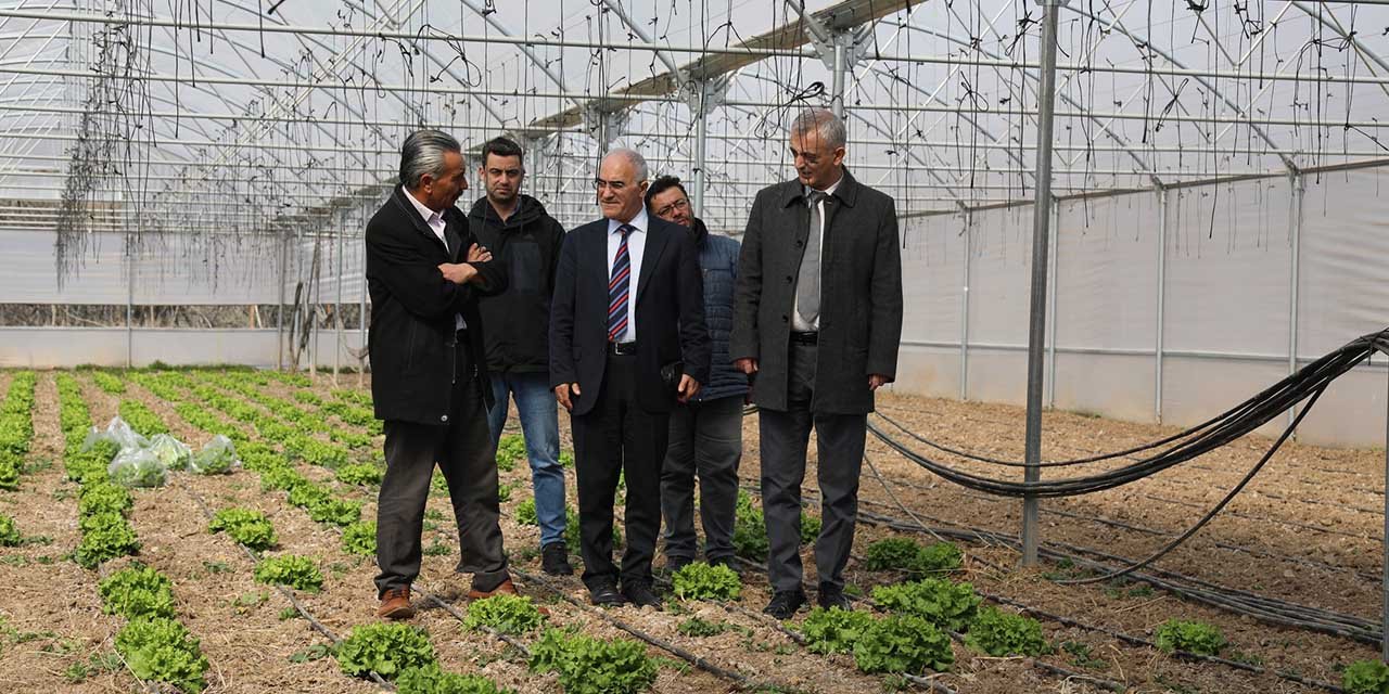 Kırıkkale’de tarım seraları incelendi