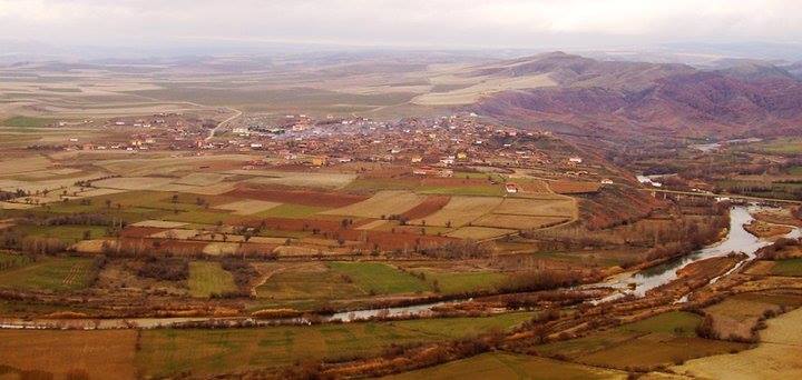 Başına sert bir cisimle vurulan şahıs öldü