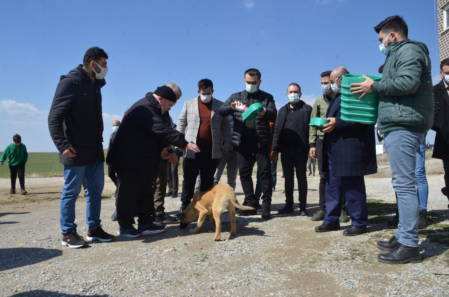 Haydi Kırıkkalem bir kapta sen koy