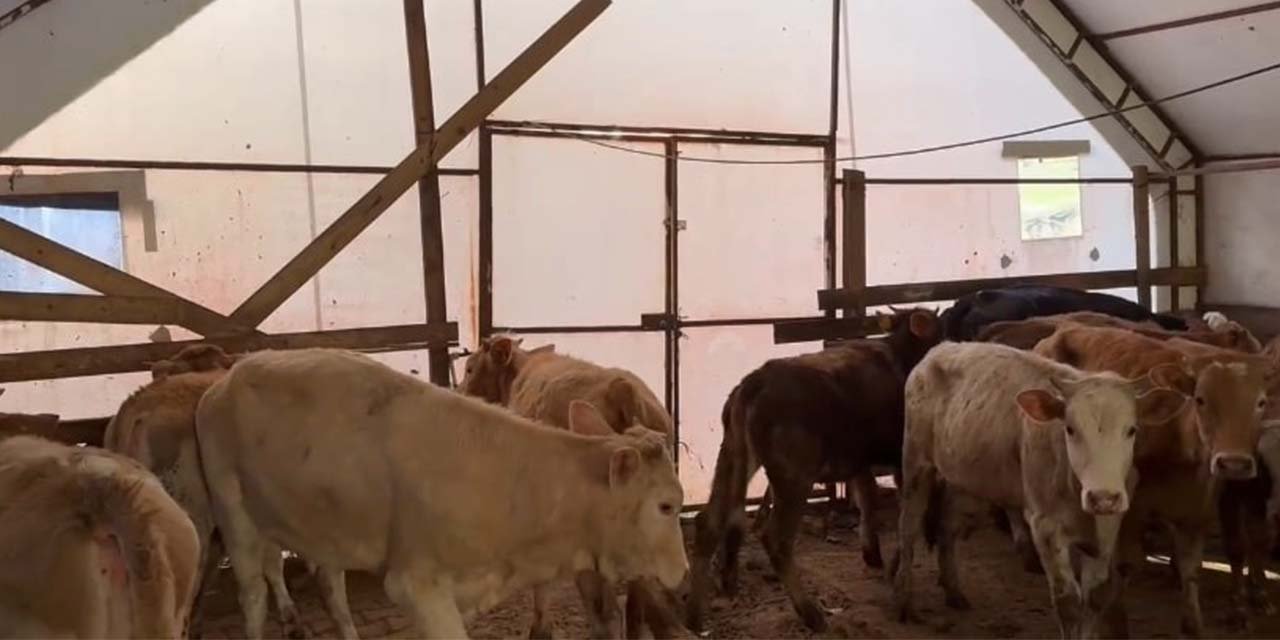 Hayvanları telef olan çiftçiye duygulandıran sürpriz