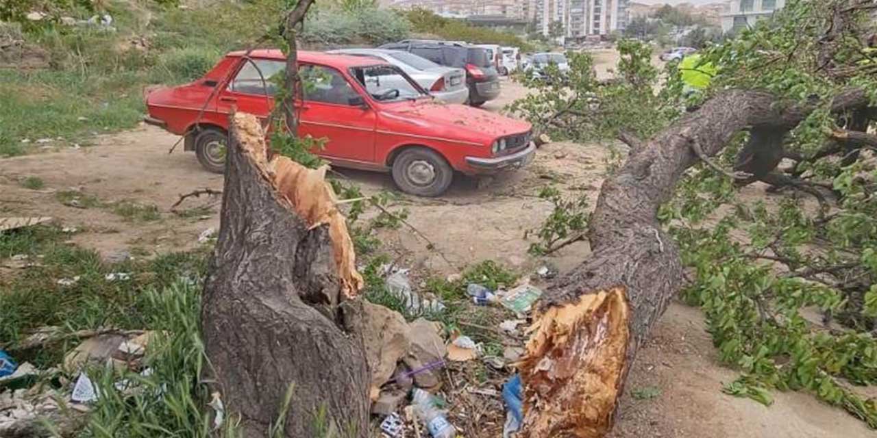 Kırıkkale’de şiddetli fırtına ağacı gövdesinden kopardı!