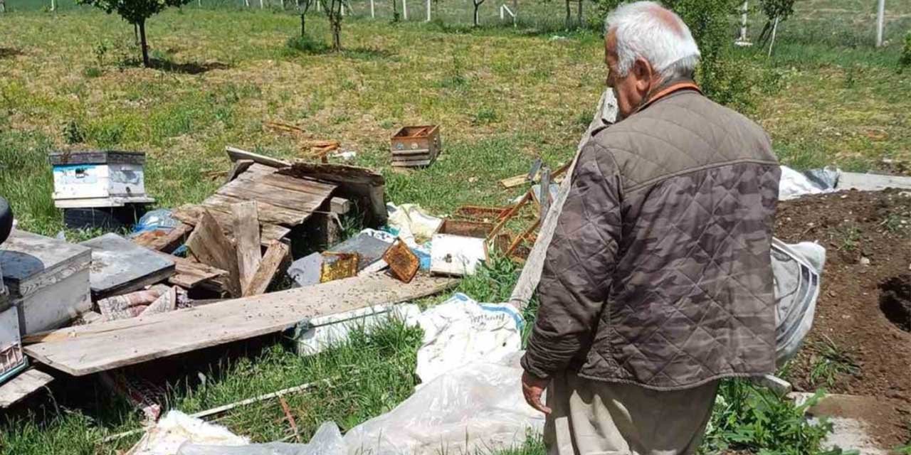 Köye inen ayı arı kovanlarını parçaladı