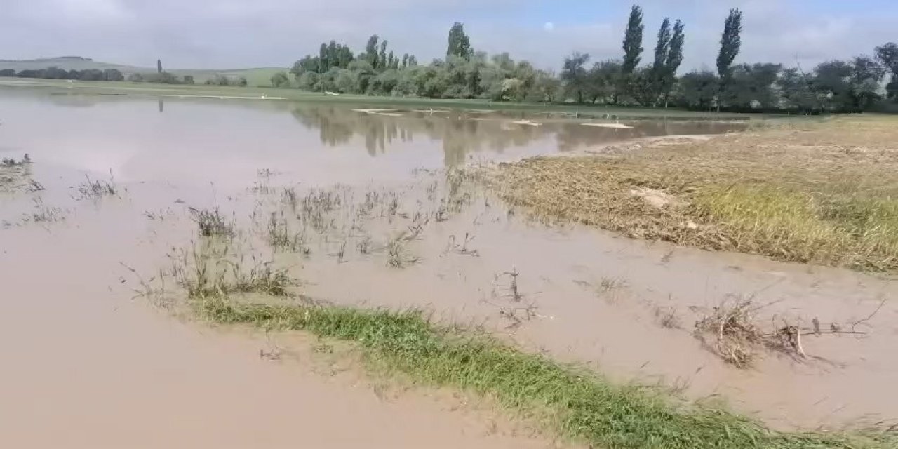 Çorum’da tarım arazileri sular altında kaldı