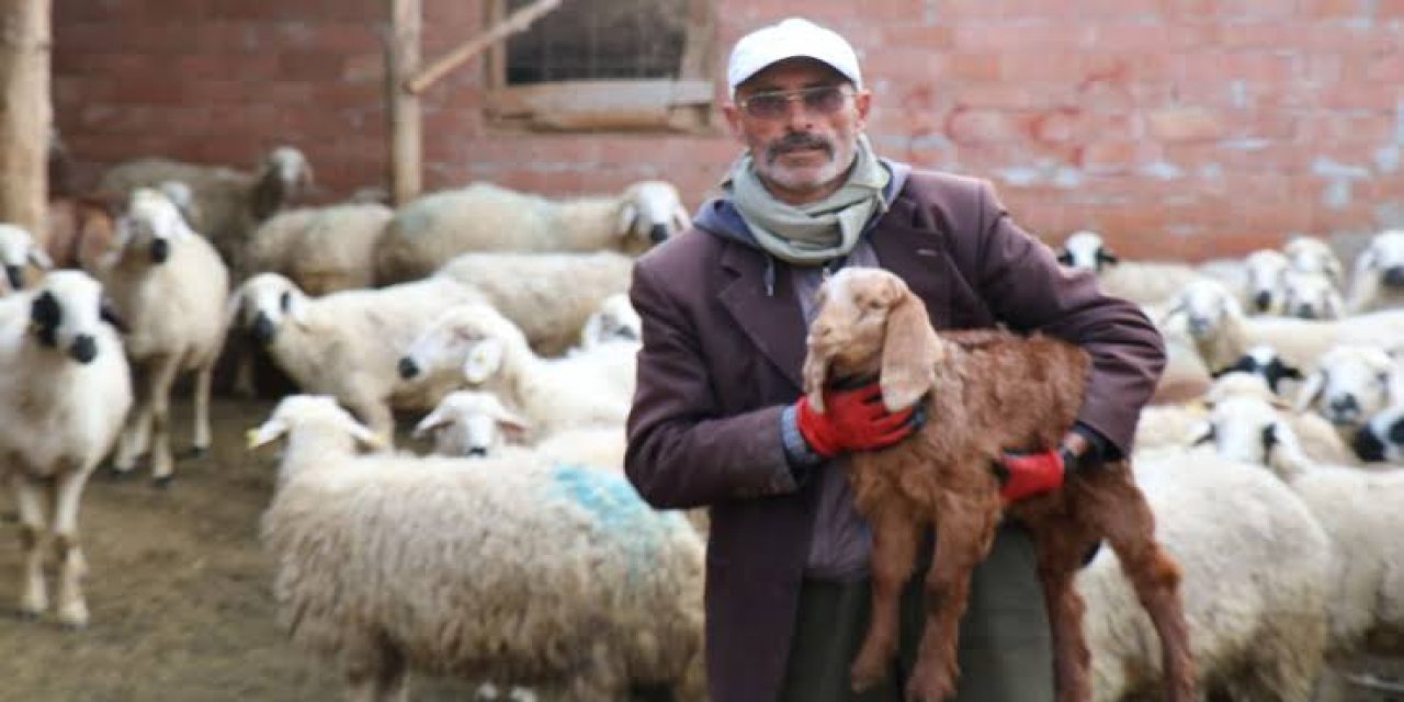 Fenomen muhtar adayını dolandıranlar yakalandı