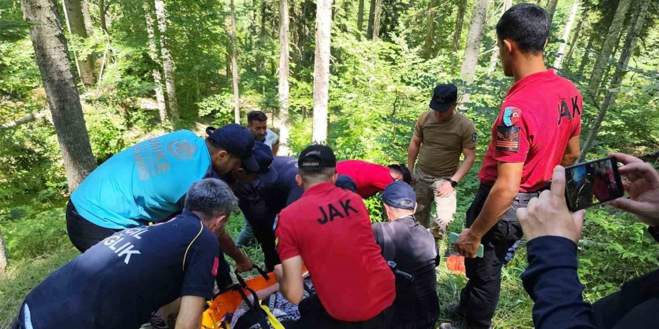 9 gündür kayıp kadın, ormanlık alanda bulundu