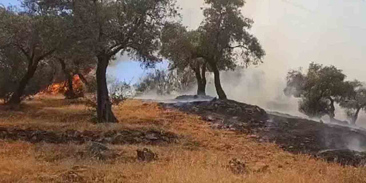 Kırşehir’deki yangınlarda 200 dönümlük arazi zarar gördü