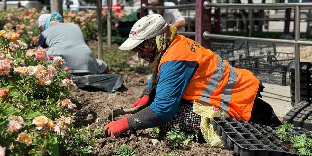 Sincan çiçeklerle donatıldı