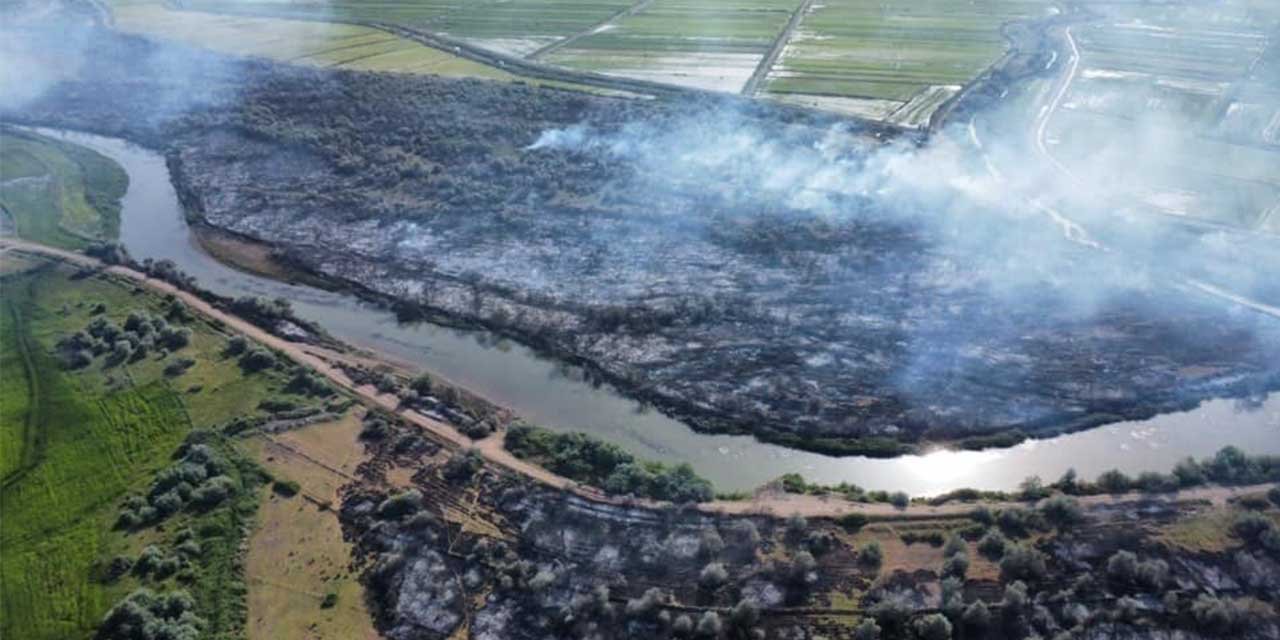 Nehir yatağındaki yangınında 700 dönüm alan zarar gördü