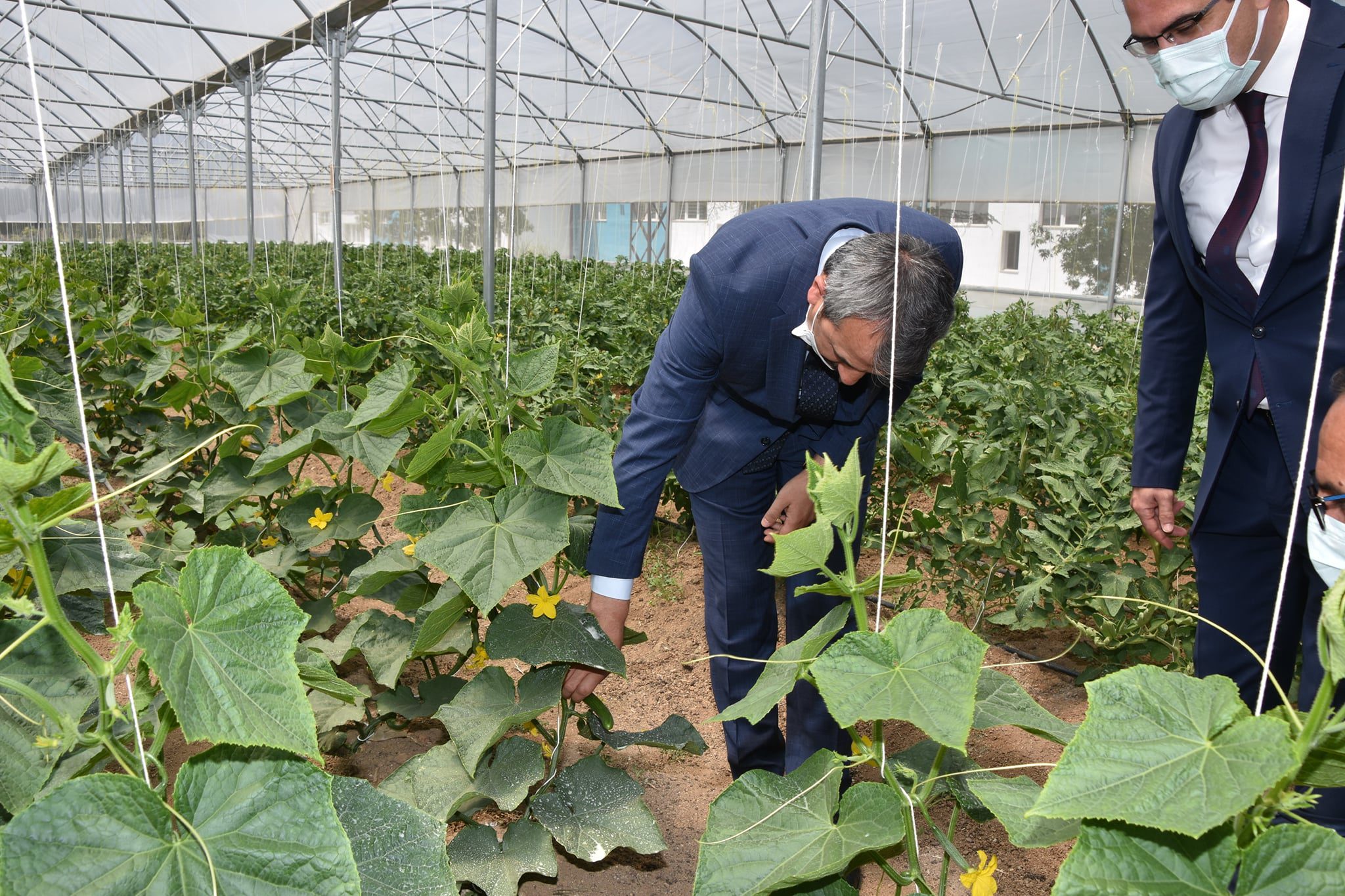 Huzur Köyde üretim başladı