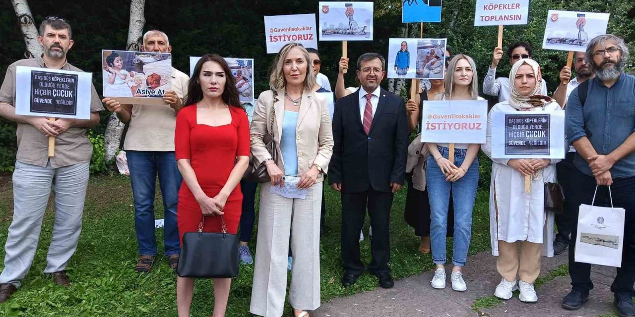 Sivil toplum kuruşlarından sahipsiz sokak hayvanları ile ilgili hazırlanan yasa tasarısına destek