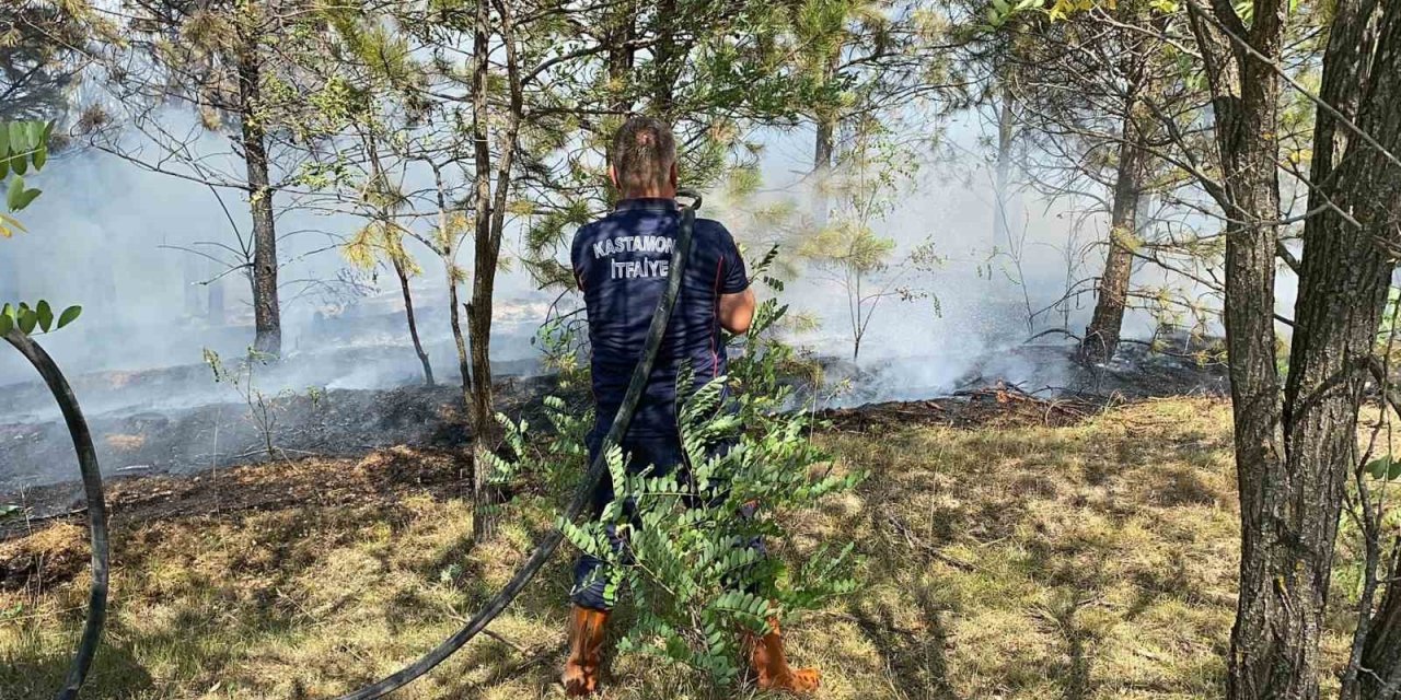 Orman yangınına müdahale sürüyor