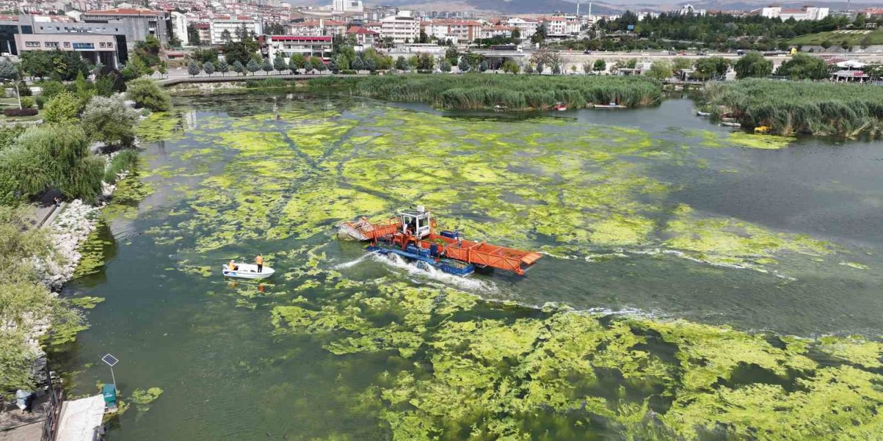 Ankara’nın Mogan Gölü’nde büyük temizlik