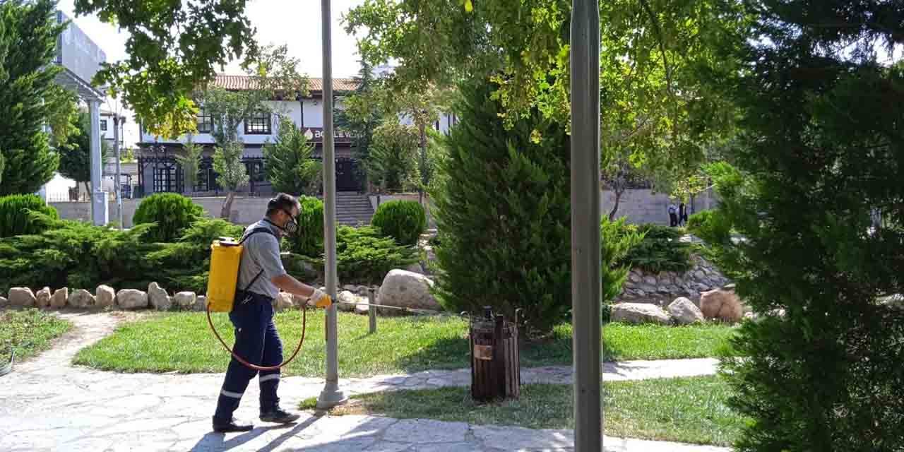 Haşerelere karşı hummalı ilaçlama