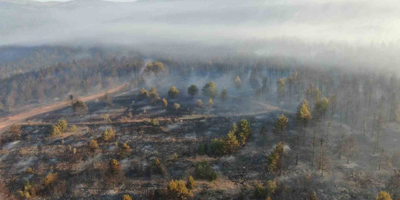 Çankırı’daki yangında 44,17 hektar alan zarar gördü