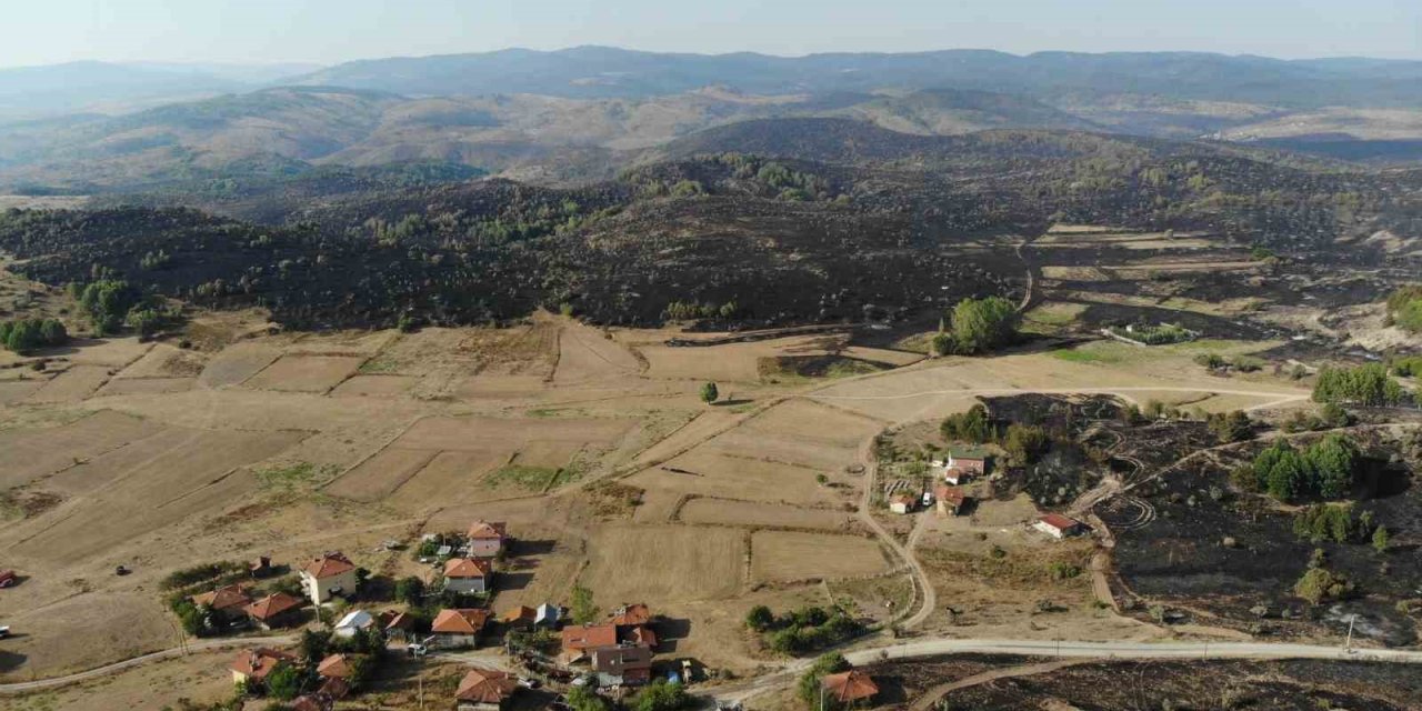 Ankara-Bolu sınırında yanan bölge dronla görüntülendi