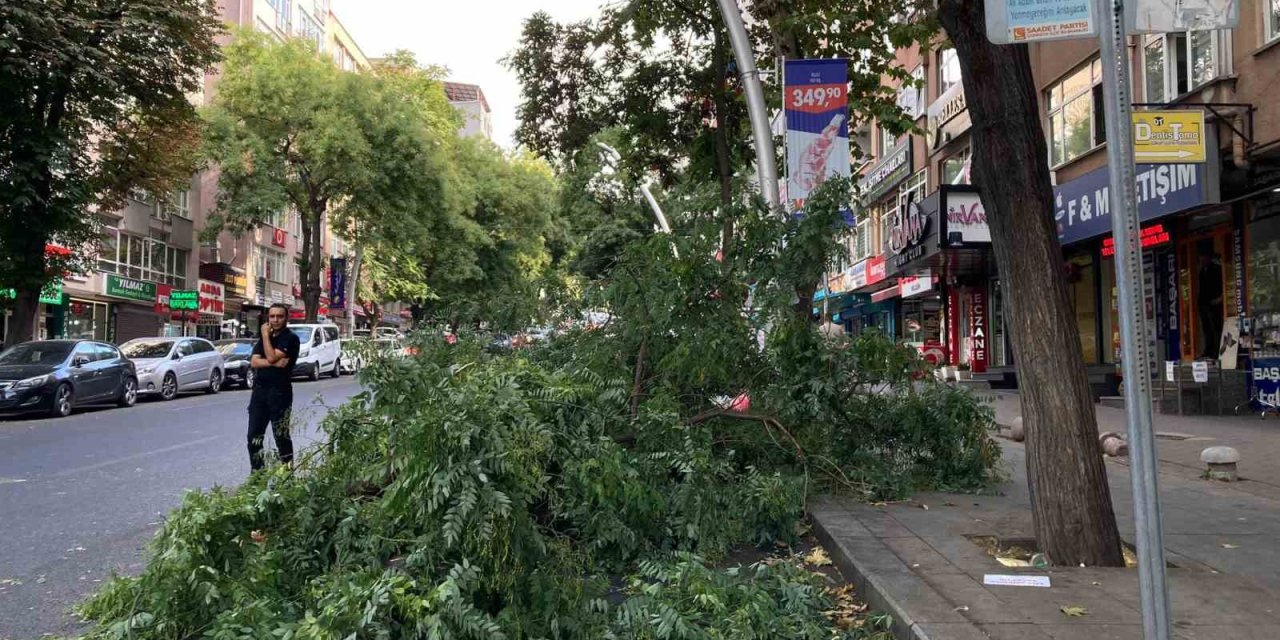 Ağaç dalının araçların üzerine düştüğü anlar kameraya yansıdı