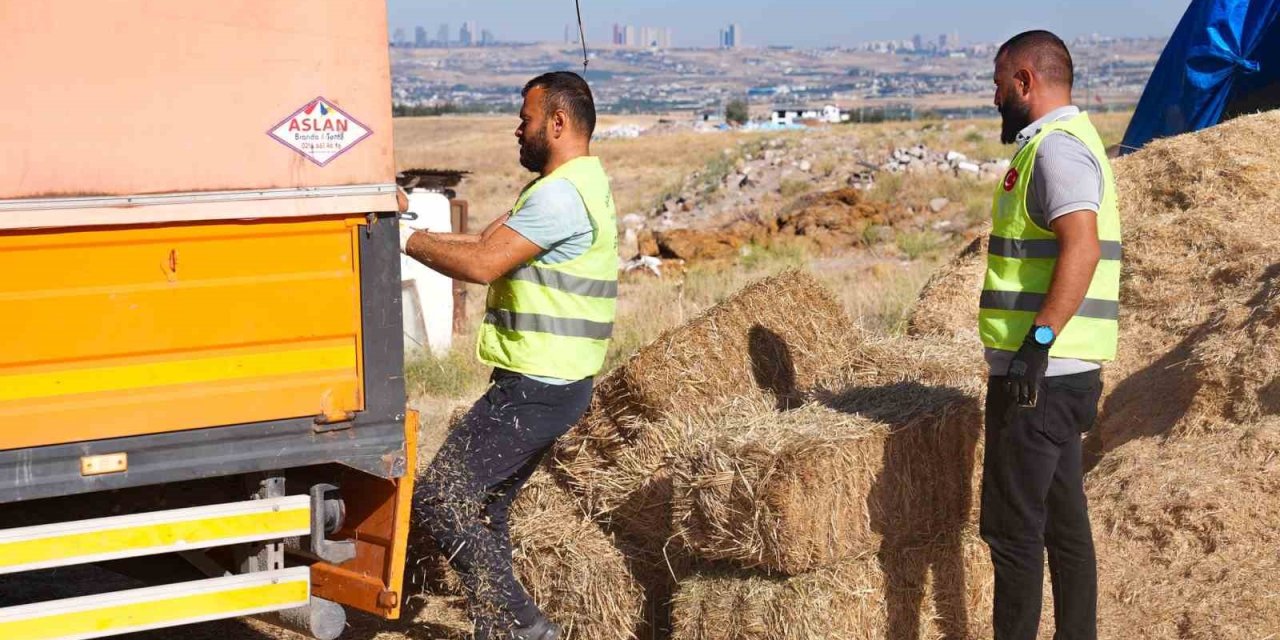 Gölbaşı Belediyesi’nden çiftçiye bin adet saman balyası