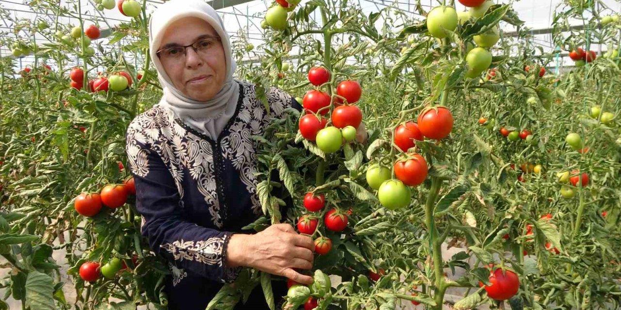 Koparmaya dahi kıyamıyorlardı, hobileri tutkuya dönüştü