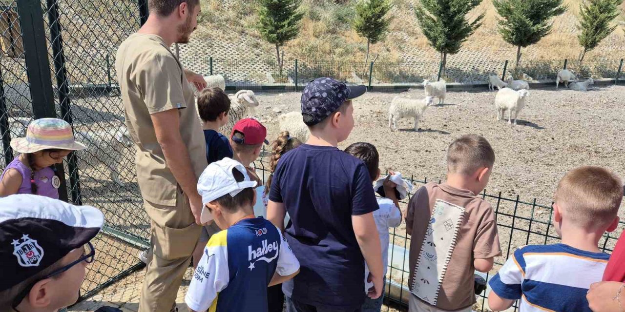 Sincan Belediyesinden çocuklara hayvan sevgisi