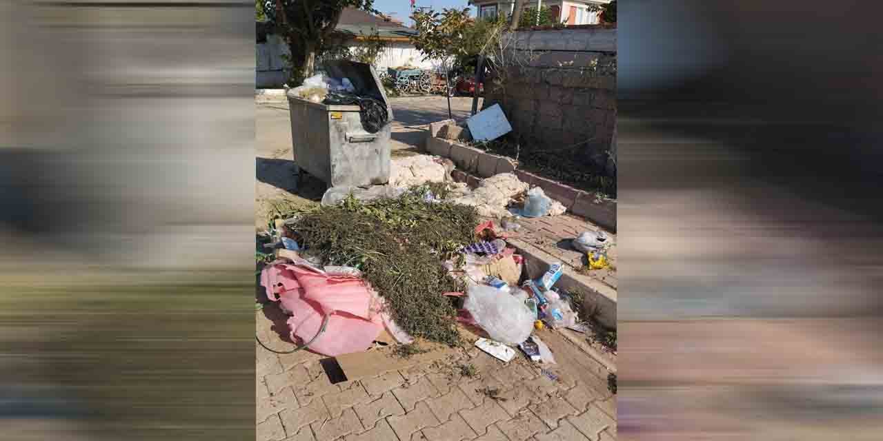 Bahşılı’da vatandaşlar çöp sorunundan şikâyetçi