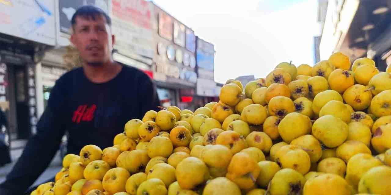 Kışın habercisi alıç, tezgahtaki yerini aldı