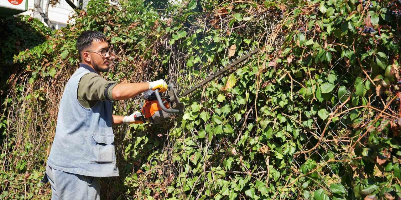 Keçiören’de mevsimlik budama çalışmaları gerçekleştiriliyor