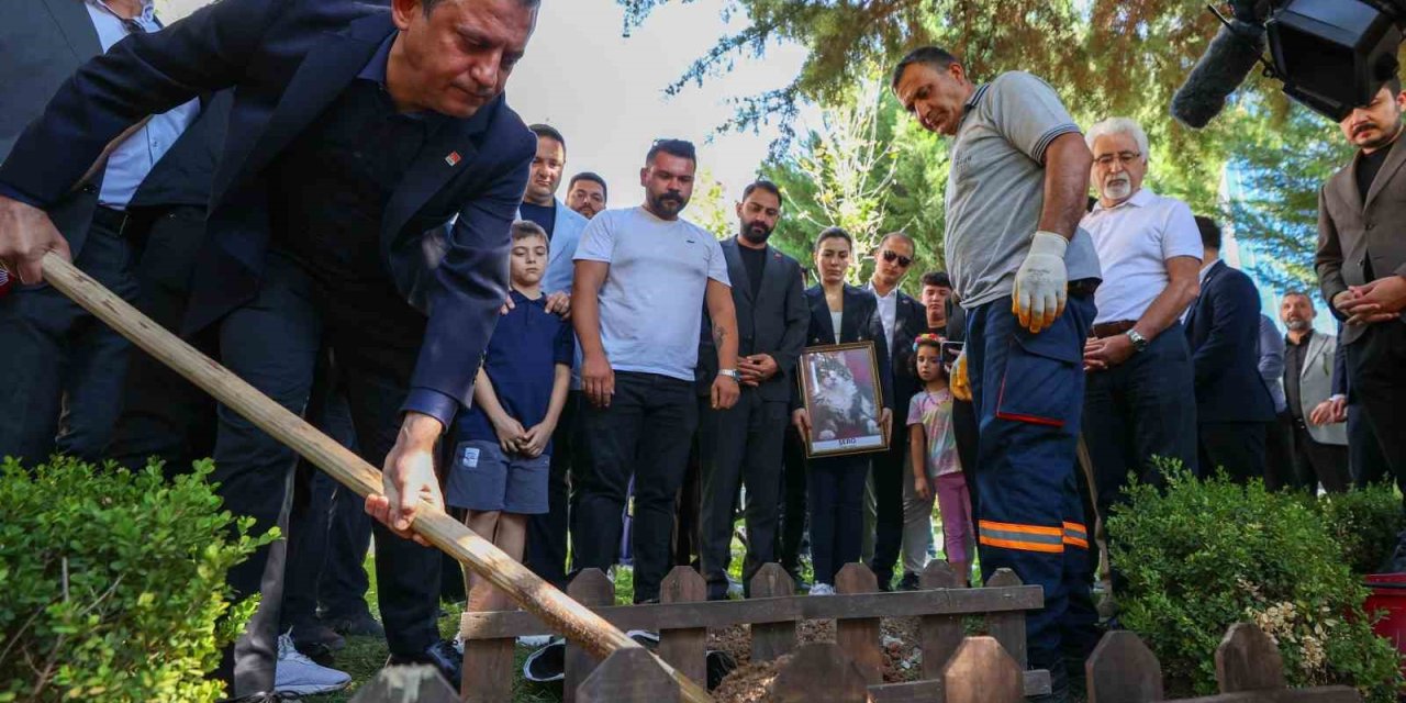 CHP’nin kedisi ’Şero’ Genel Merkez bahçesine defnedildi