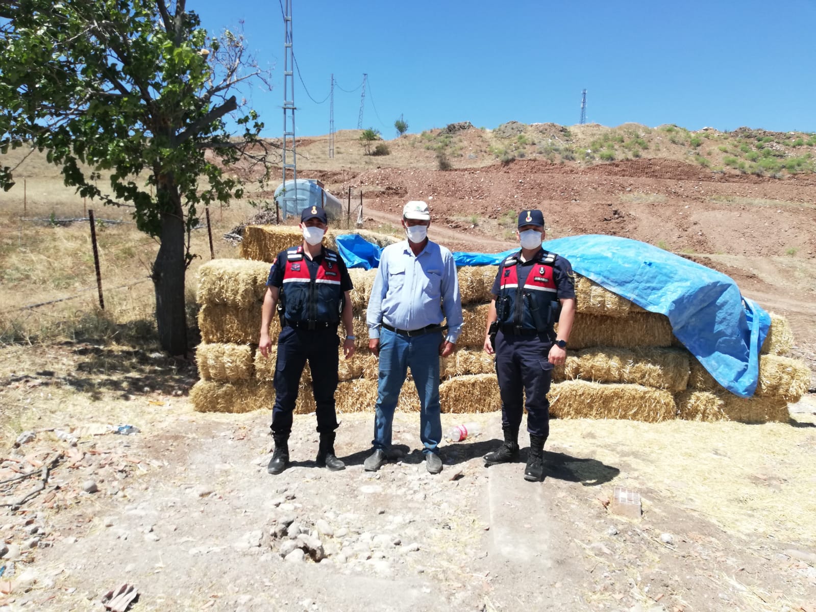 Saman balyaları Çankırı’da bulundu