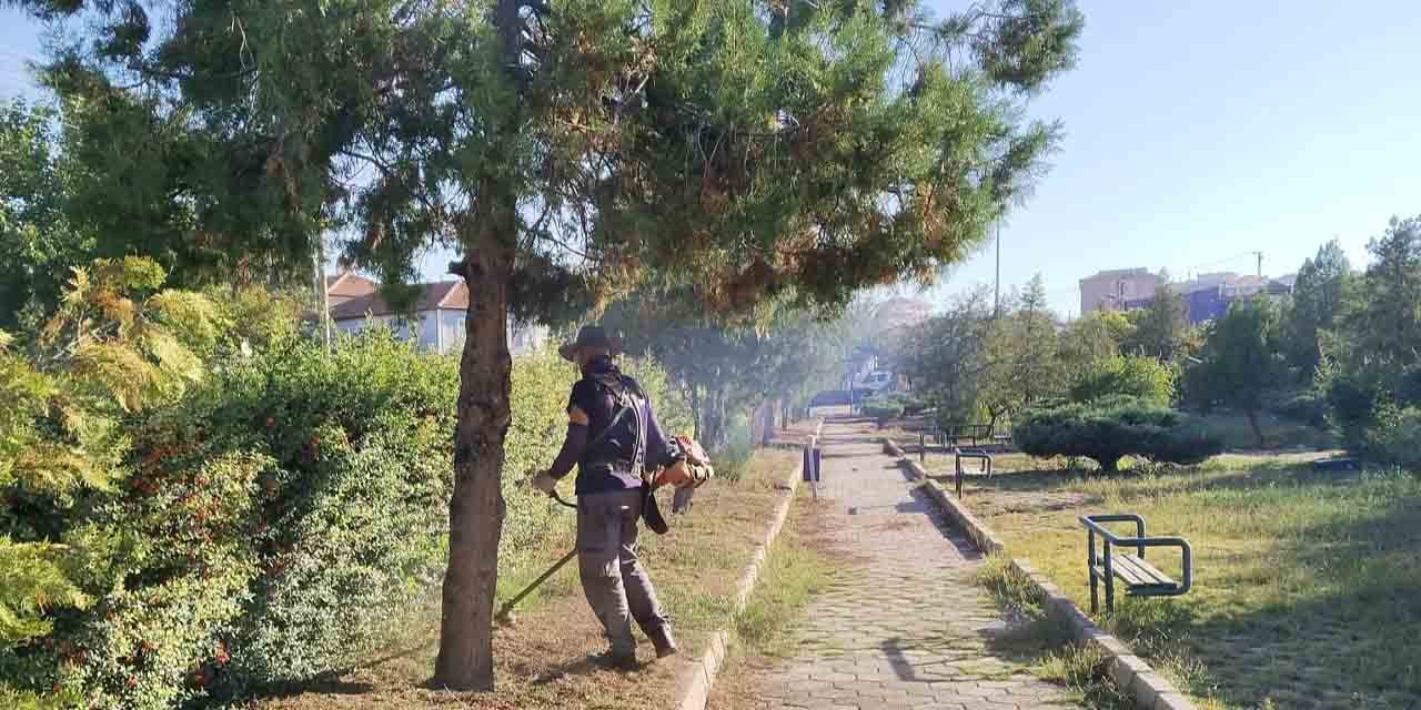 Yeşil alanların bakımları yapılıyor