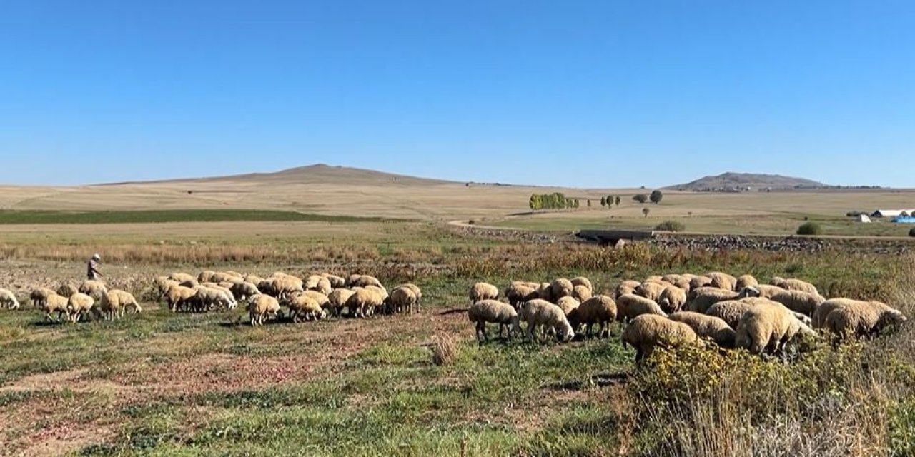 Yozgat’ta kuraklık alarmı