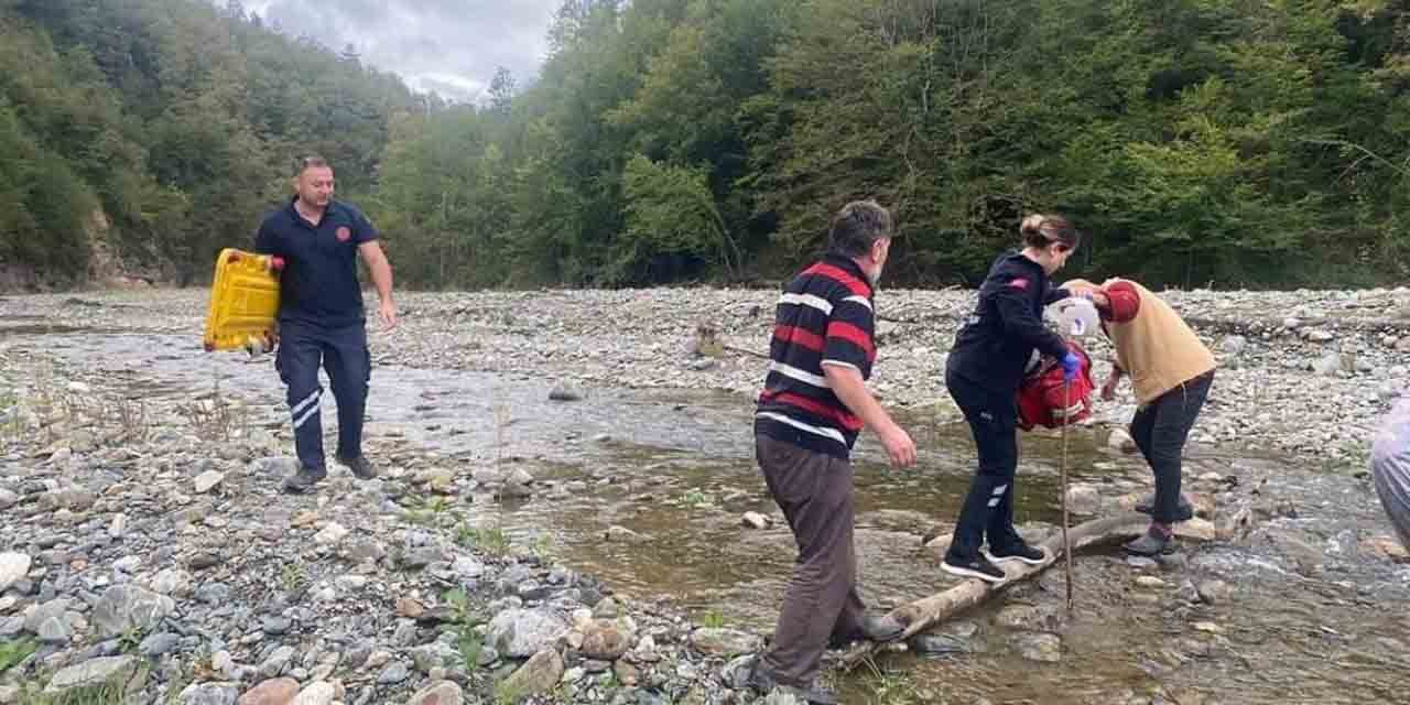 Ağaçtan düşen vatandaş 3 saat süren çaba ile hastaneye ulaştırılabildi