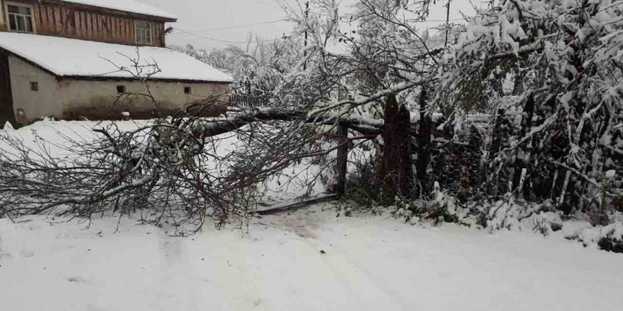 Kastamonu’da ekiplerin karla mücadelesi erken başladı