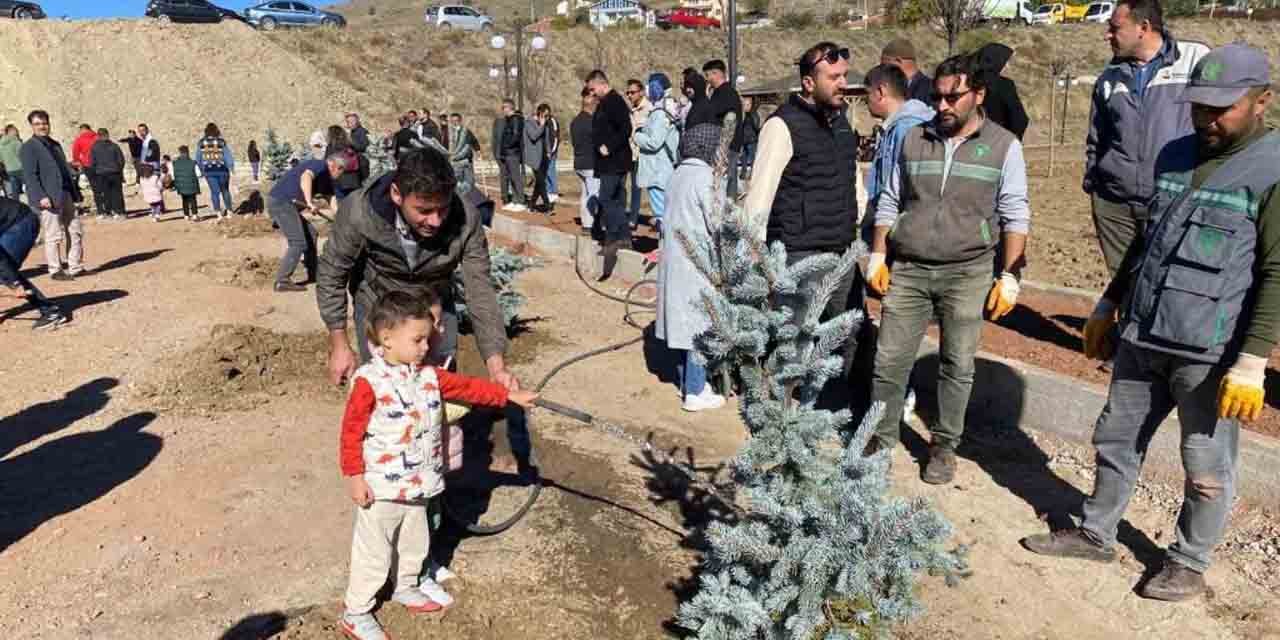 Yozgat’ta bozkır ağaçlandırıldı