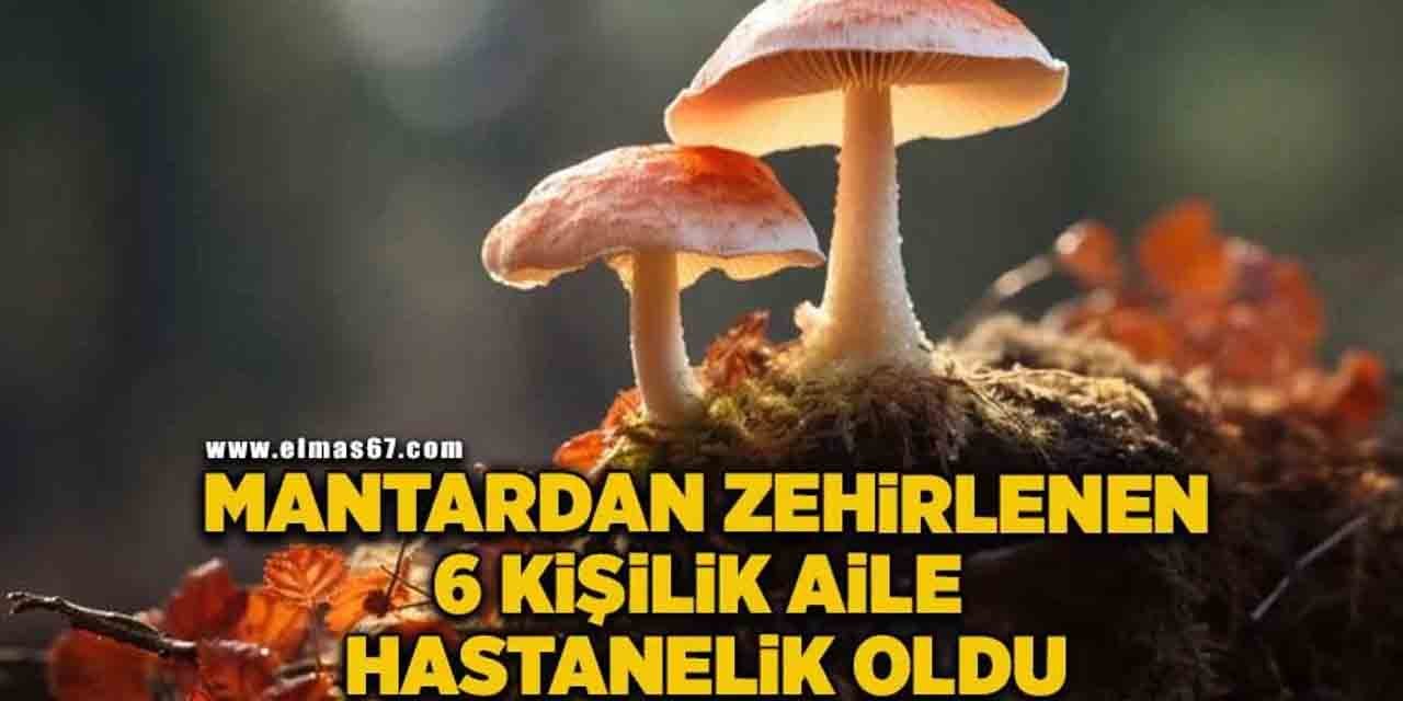 Mantardan zehirlenen 6 kişi hastanelik oldu