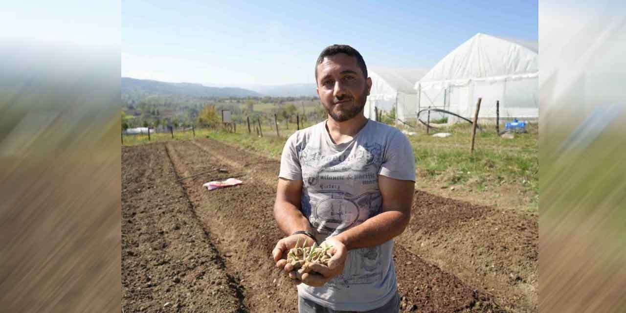 Çocukken yaylalarda topluyordu, şimdi üreticisi oldu