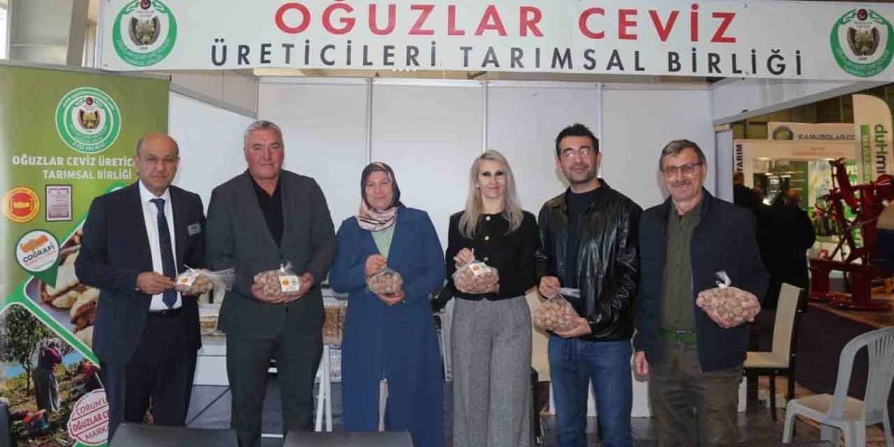 Çorum’da düzenlenen ceviz fuarı yoğun ilgi gördü