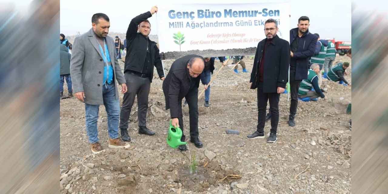 Genç Büro Memur-Sen’den Türkiye Yüzyılı’na fidan desteği