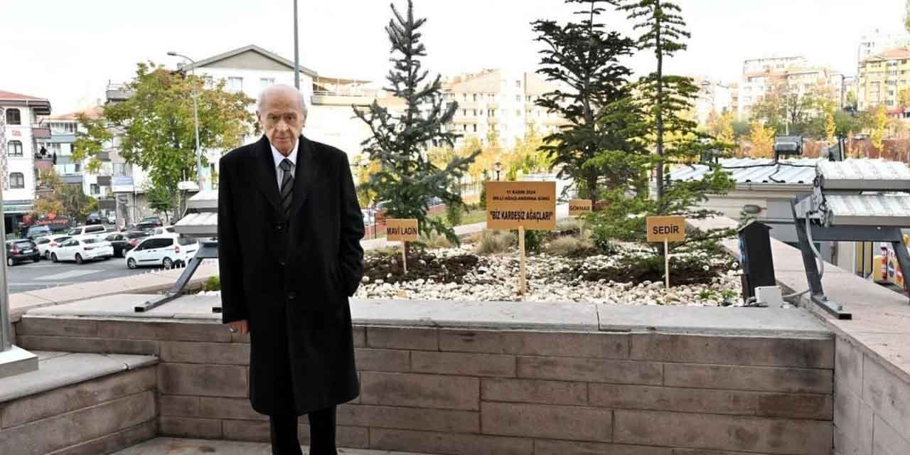 MHP: "Bahçeli genel merkez önüne ‘Biz Kardeşiz Ağaçları’ dikti"