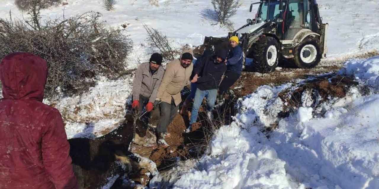 Dağda mahsur kalan hayvanlar kurtarıldı