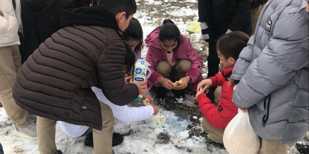 Öğrenciler aç kalan hayvanlar için doğaya yiyecek bıraktı