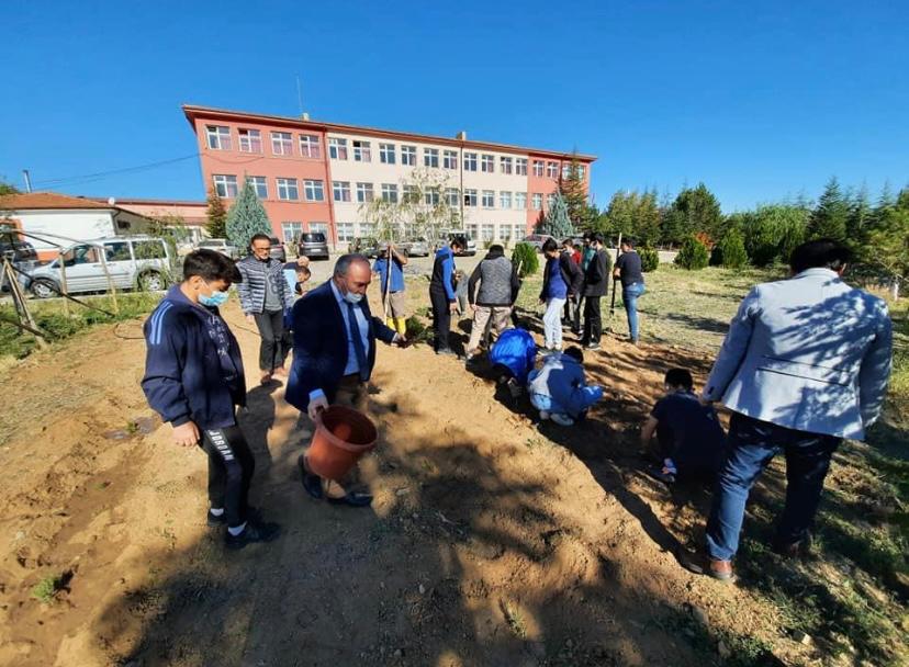 Bahşılı'da lavanta kokulu okullar projesi