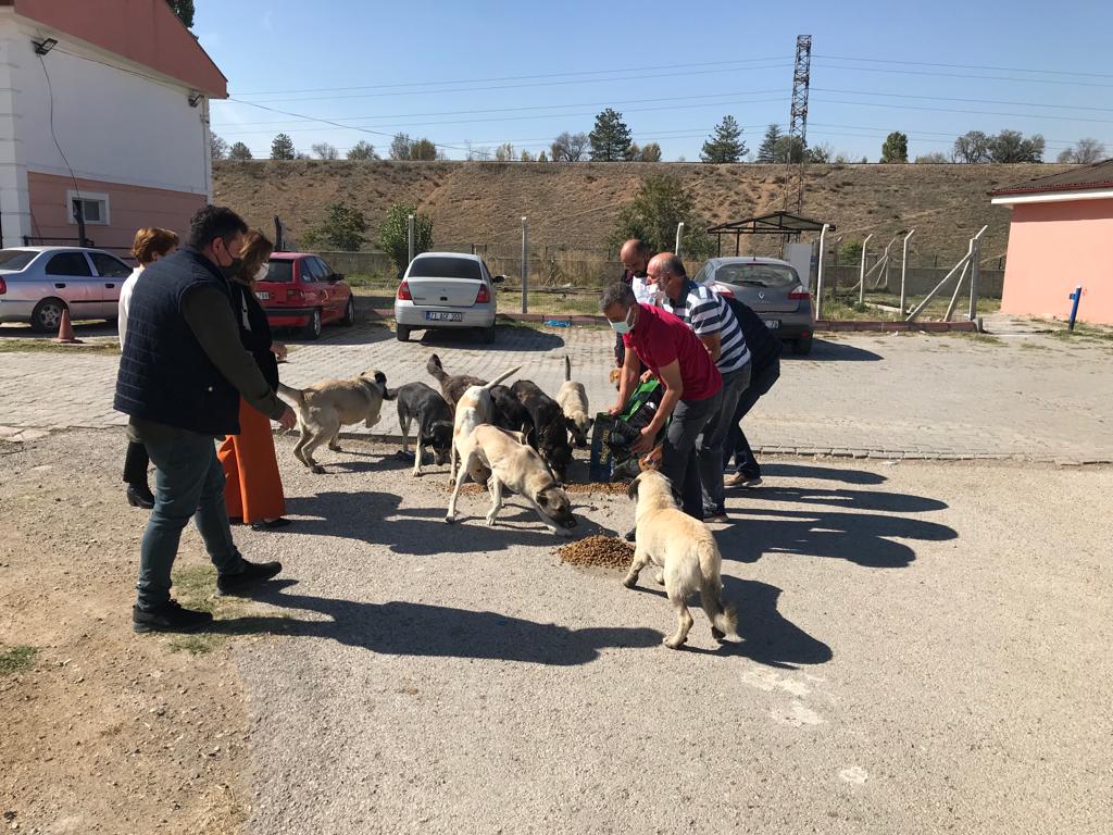 Evcil hayvan satış eğitim tamamlandı