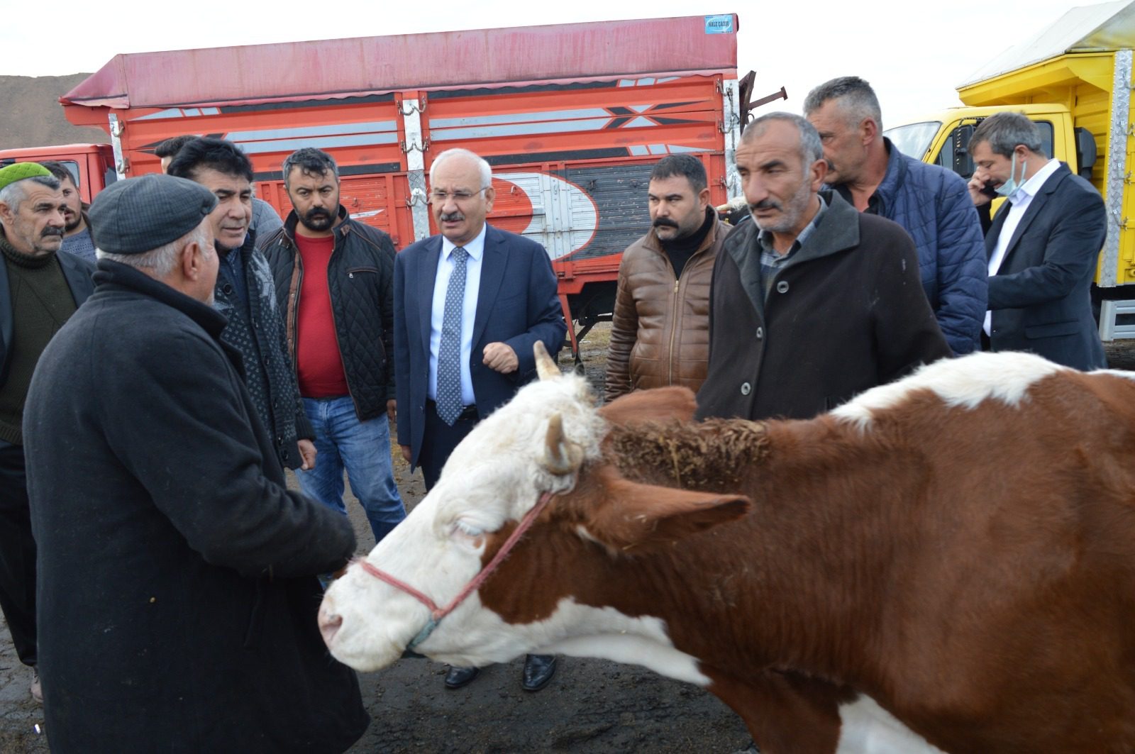 Canlı hayvan pazarında inceleme