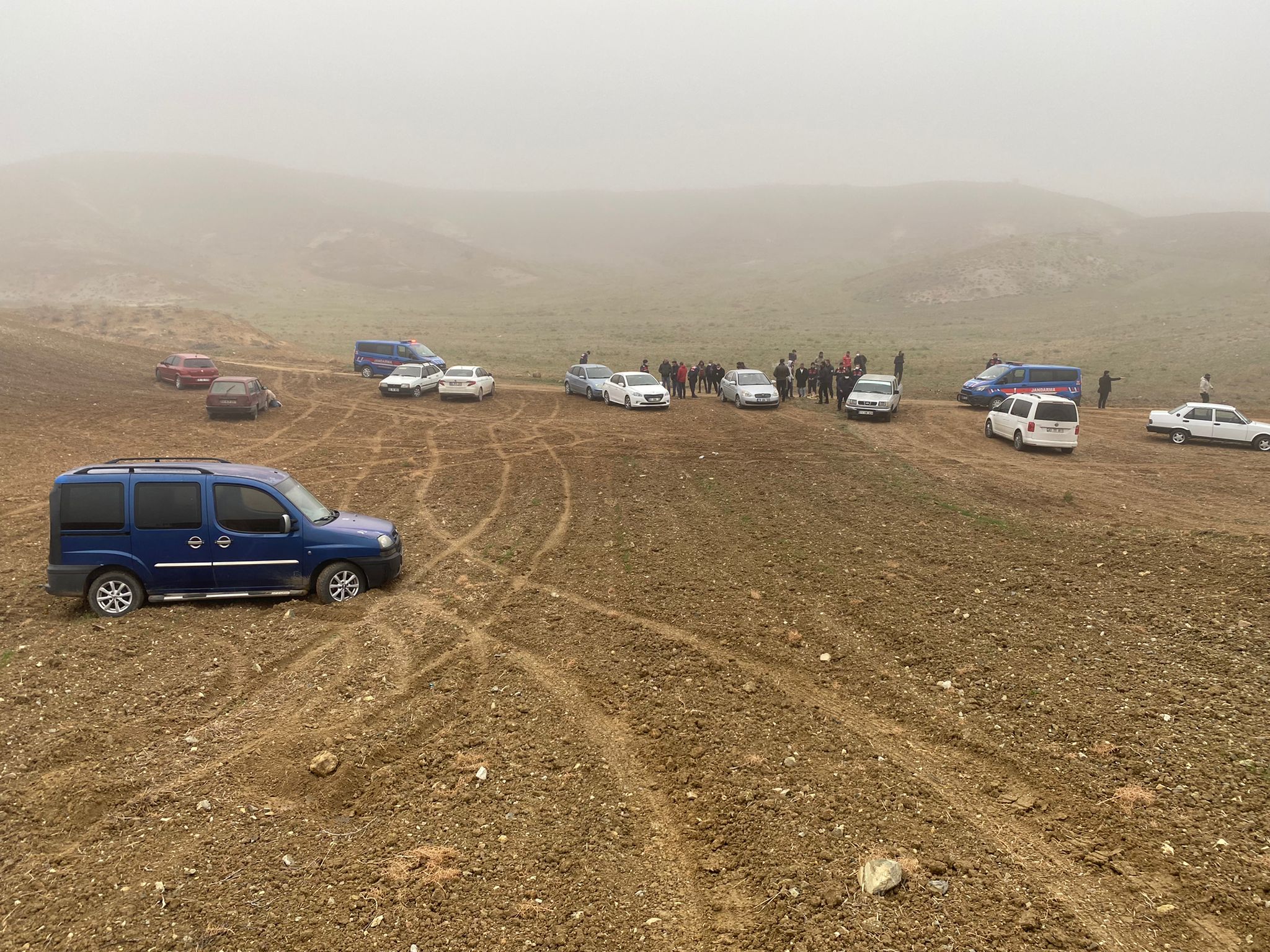 Köpek dövüştürenlere jandarma baskını