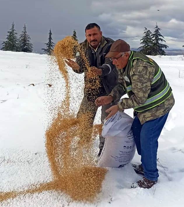 DKMP ekipleri doğaya yem bıraktı