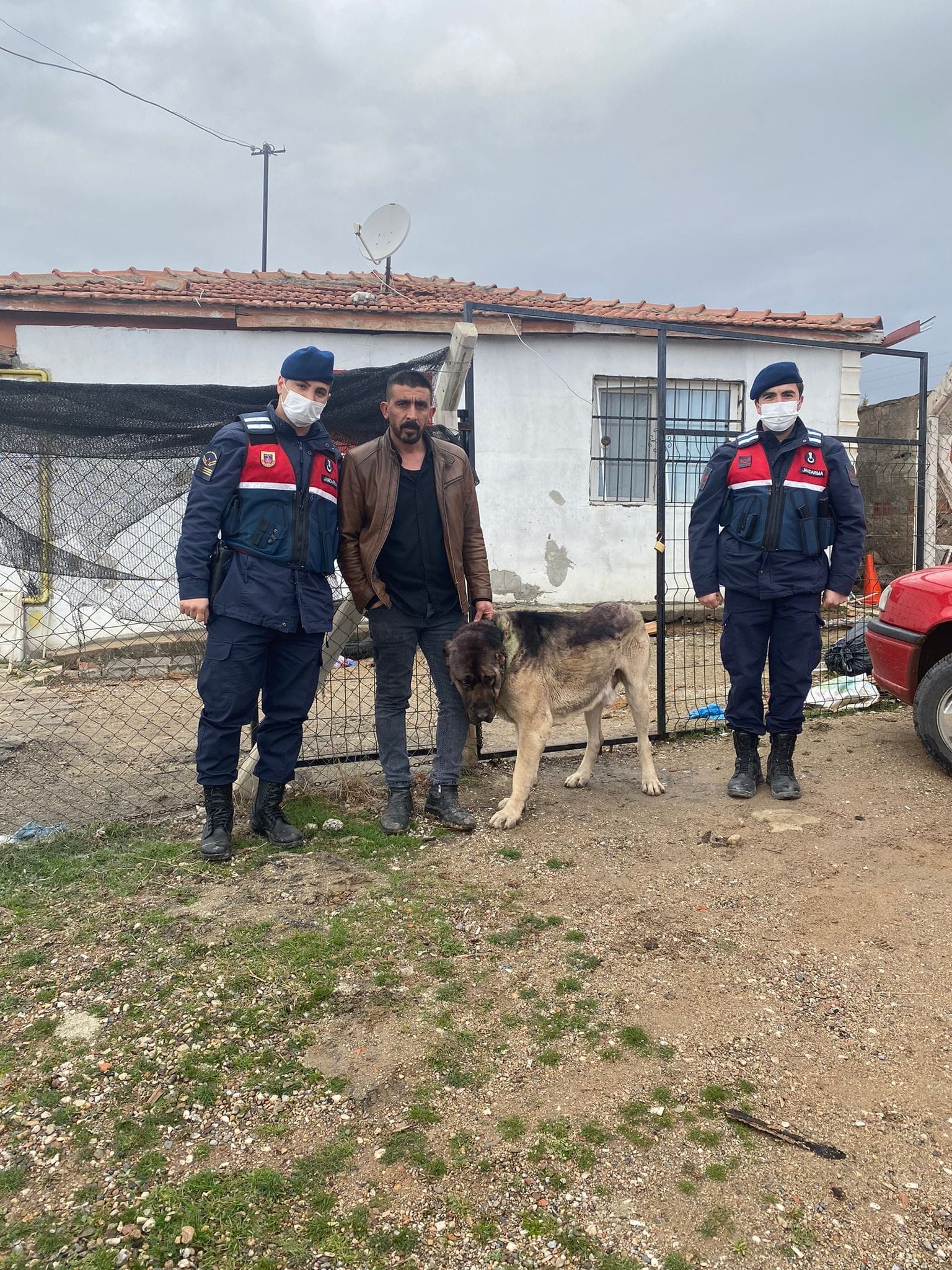 Çalındığı iddia edilen köpek Yozgat'ta bulundu