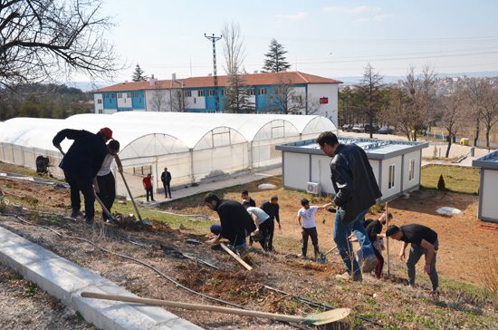 Huzur Köyde fidanlar toprakla buluştu